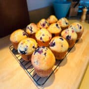 Wild blueberry muffins sitting on a wire rack.