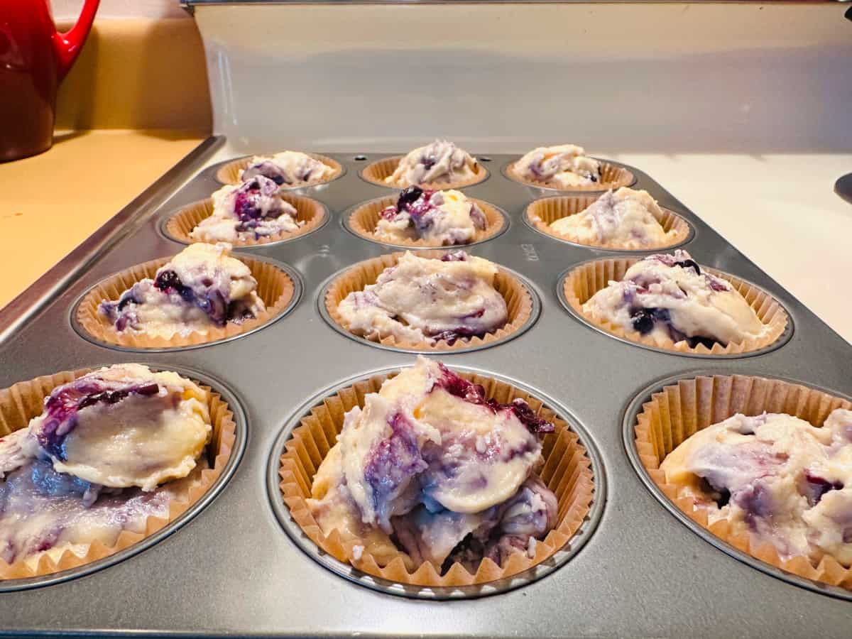 Muffin tin with wild blueberry muffin batter in each paper lined cup.