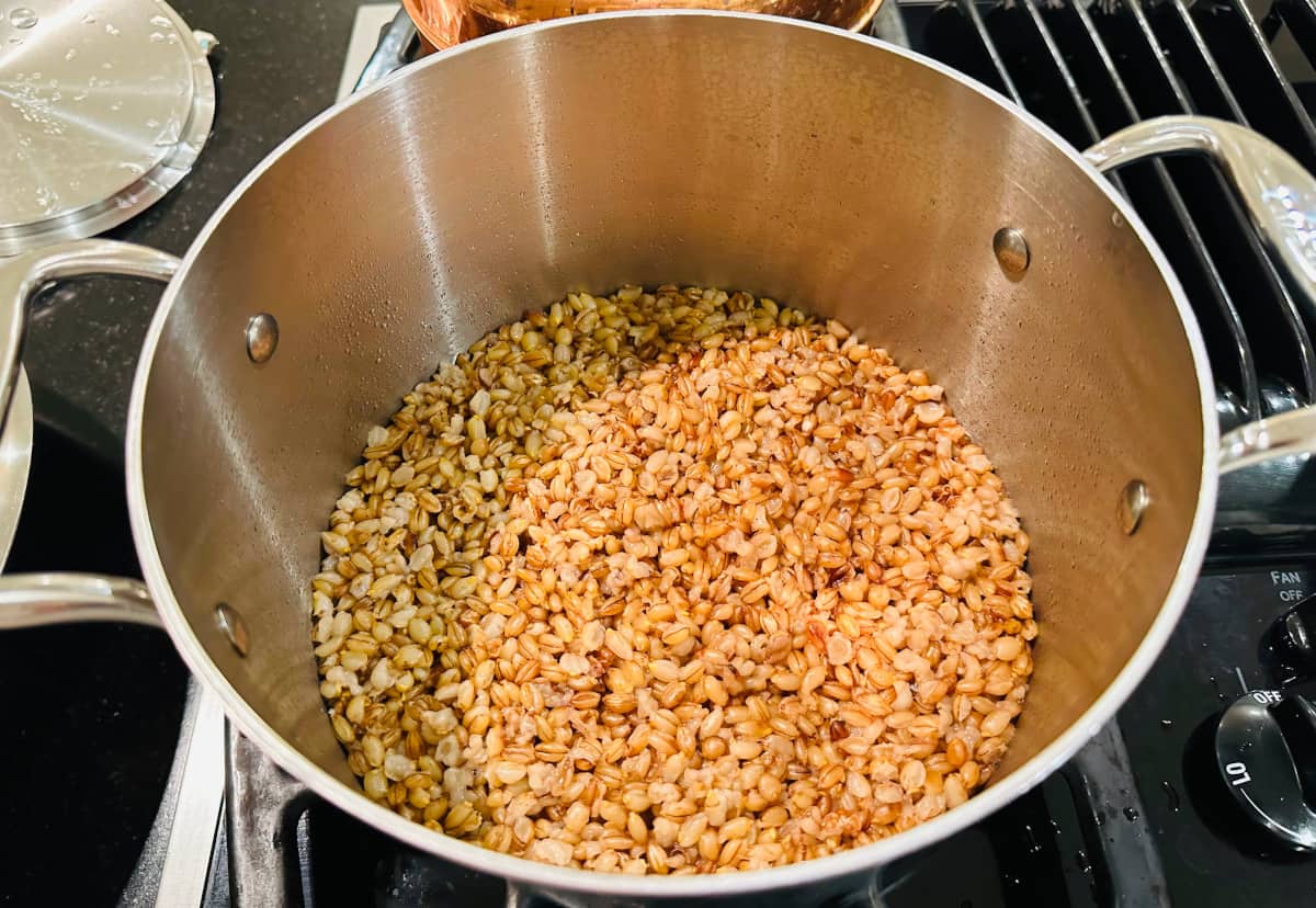 Cooked barley in a metal pot.