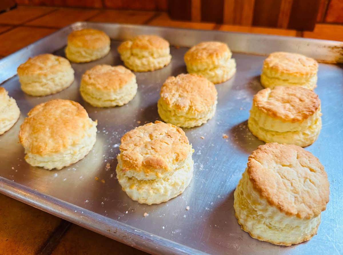 Baked cream biscuits on a metal baking sheet.