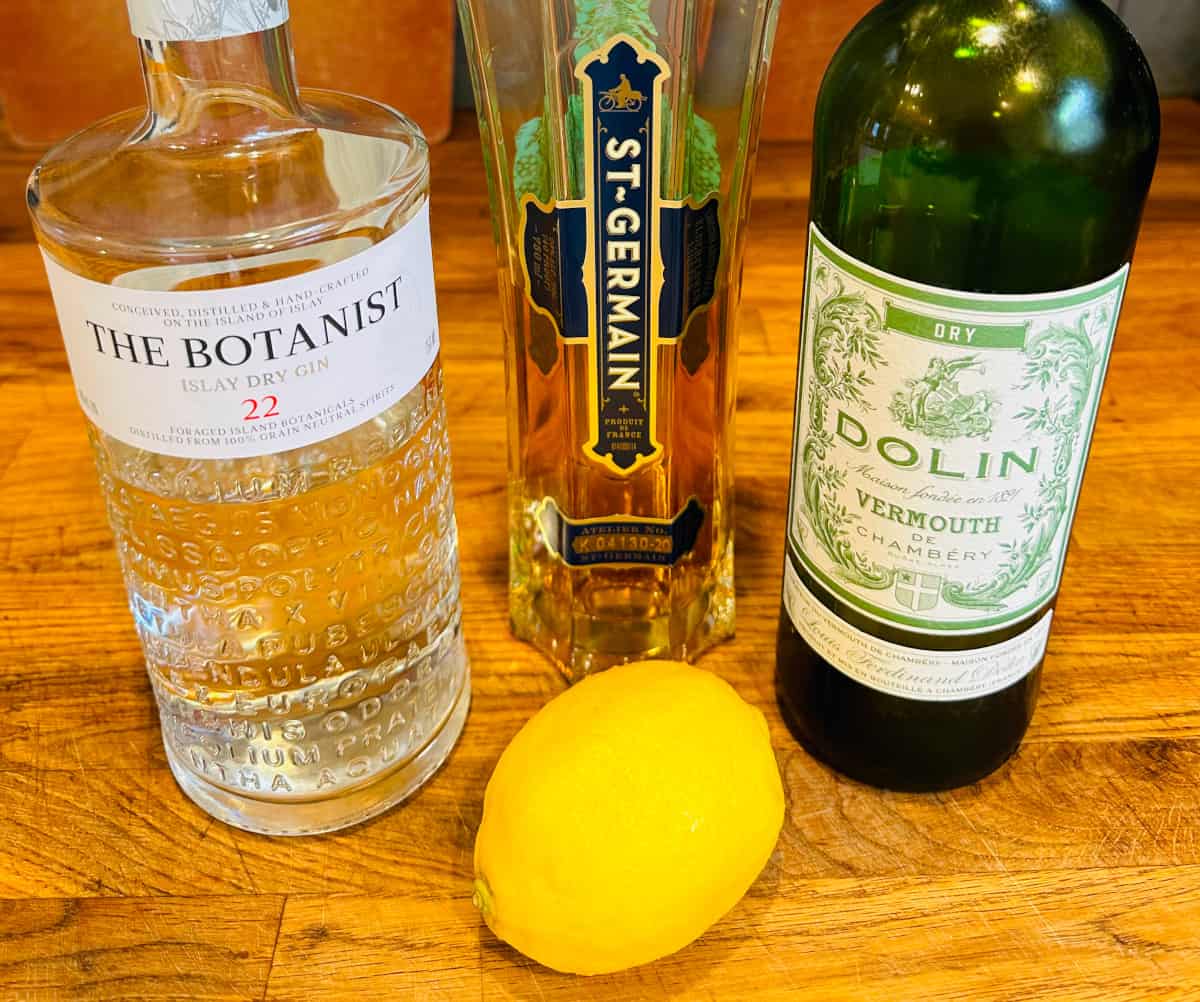 Ingredients for elderflower martini.