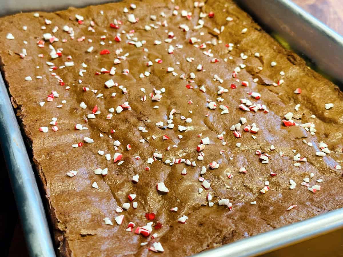 Peppermint chocolate brownies sprinkled with crushed peppermint candy.