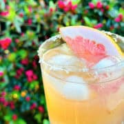 Paloma in an old fashioned glass with a salted rim held in front of a large green shrub blooming with bright pink flowers.