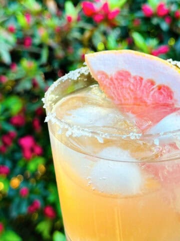 Paloma in an old fashioned glass with a salted rim held in front of a large green shrub blooming with bright pink flowers.