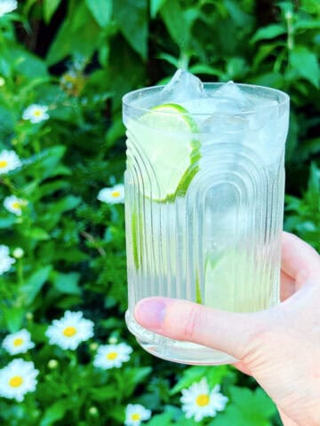 Gin rickey in a highball glass being held in front of some green shrubs with white daisies.