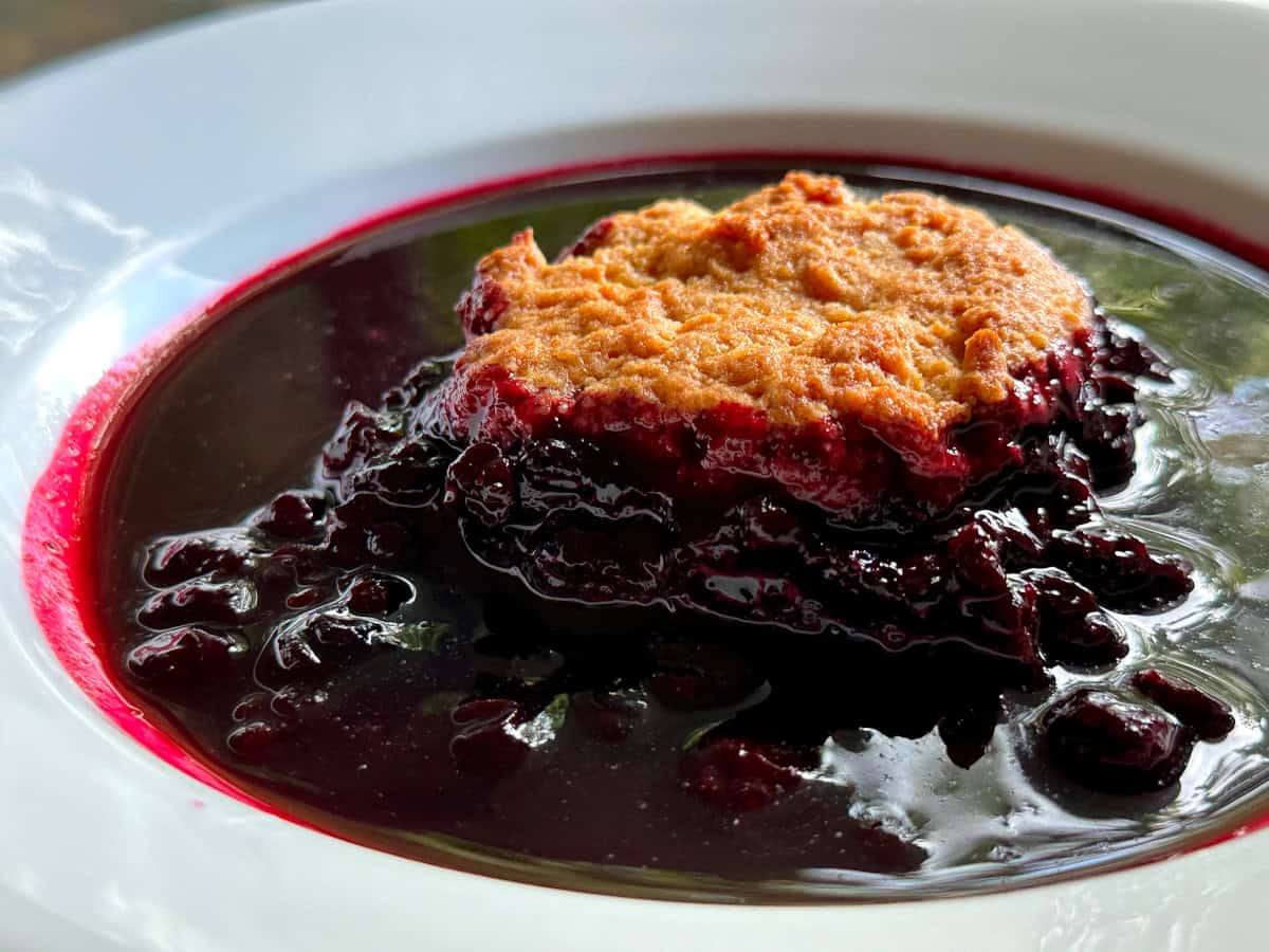 Blueberry cobbler in a shallow white bowl.