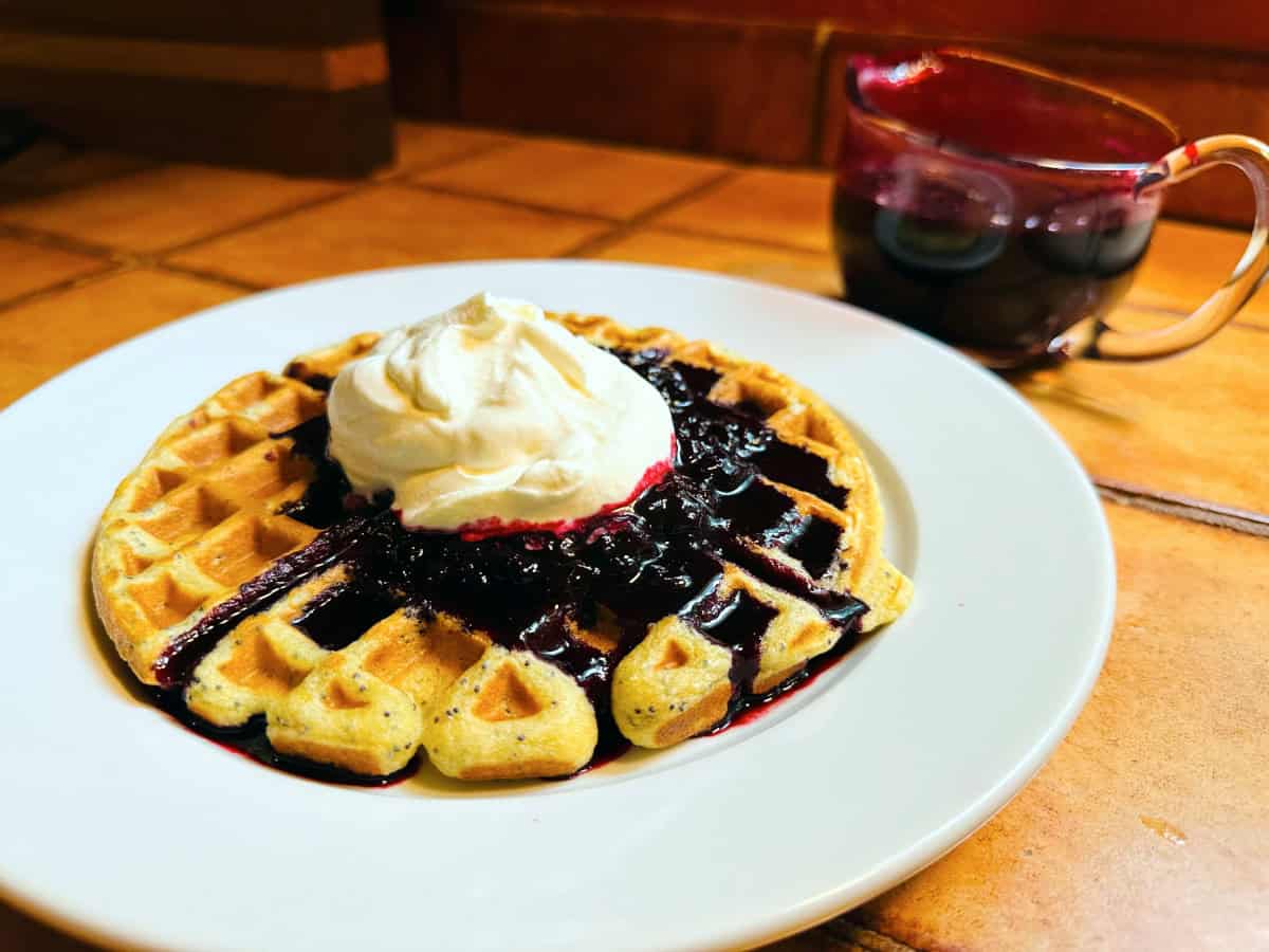 Lemon poppy seed waffle topped with blueberry sauce and whipped cream on a white plate.