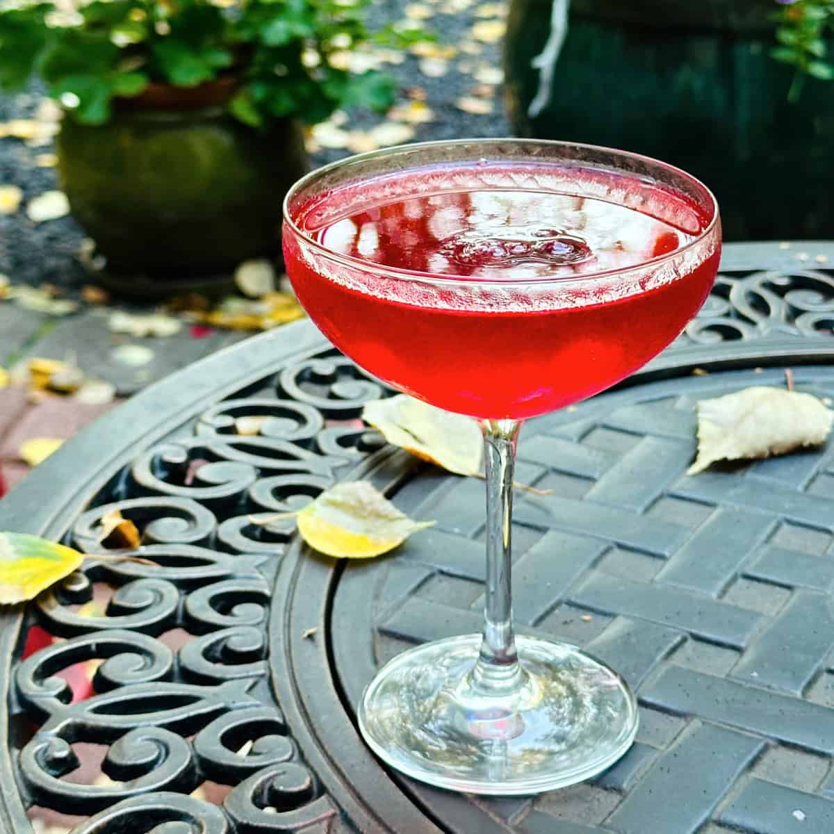 Red Riding Hood (AKA Lingonberry Martini) served in a coupe glass.