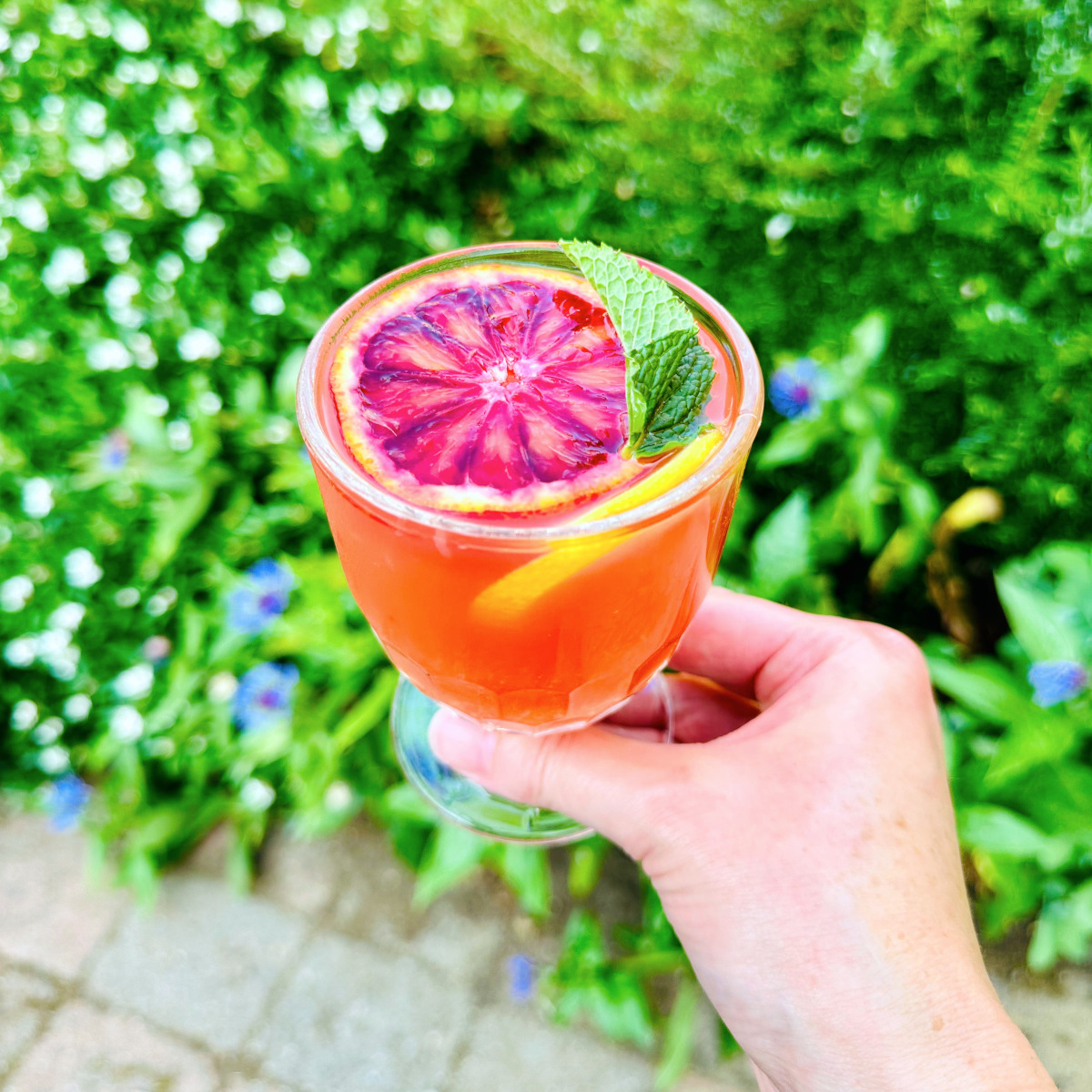 Circe's sucker punch (AKA Mediterranean punch) in a footed glass garnished with a slice of blood orange, a slice of lemon, and a large sprig of mint.