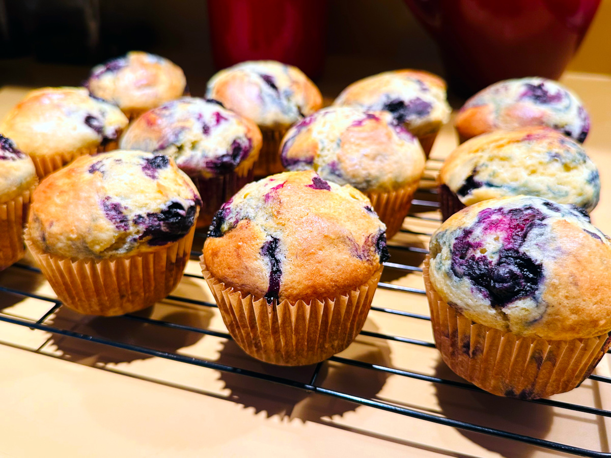Wild blueberry muffins cooling on a wire rack.