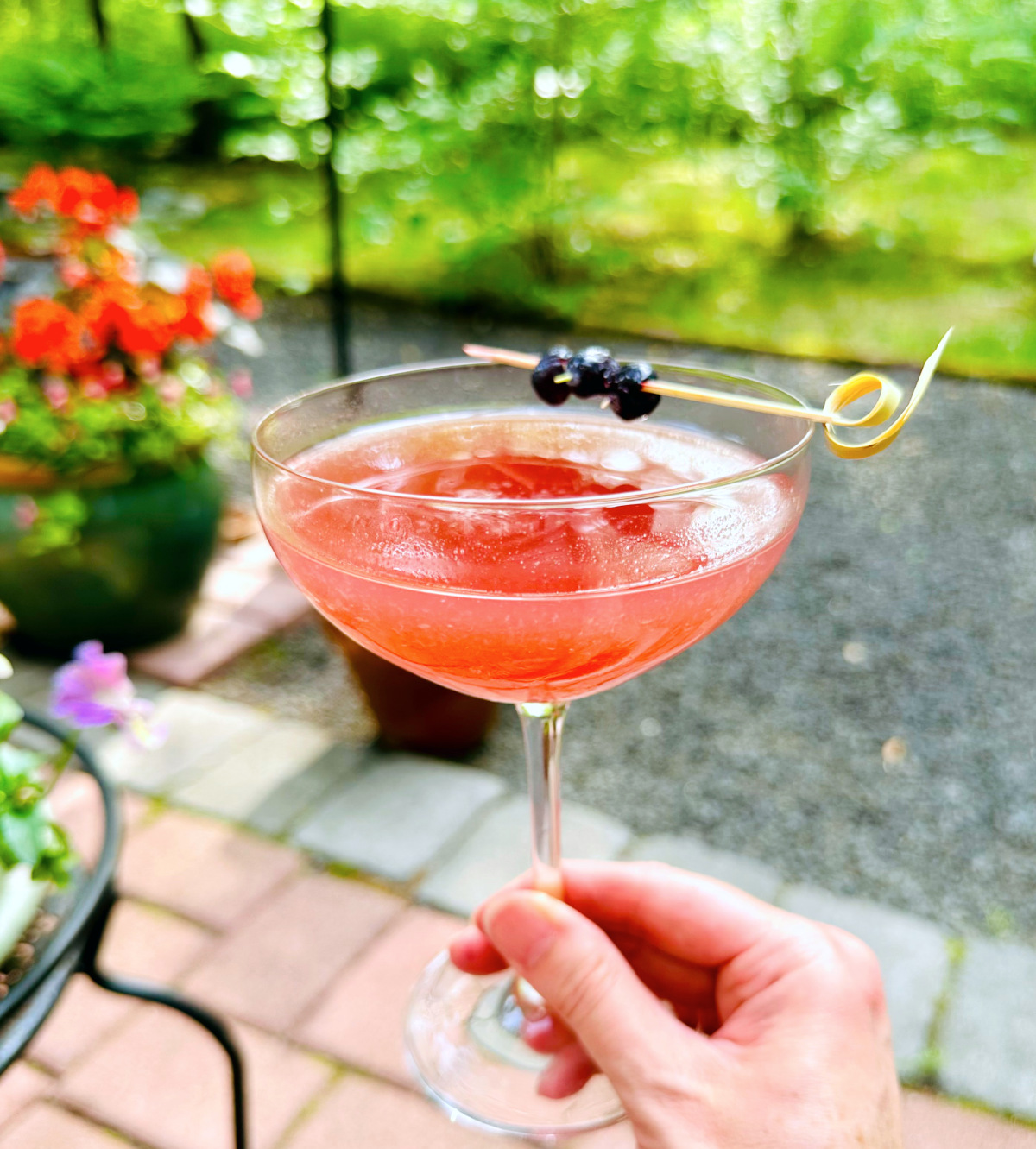 Cabin Club Cocktail (AKA Blueberry Pegu Club) in a coupe glass garnished with three blueberries skewered onto a cocktail pick.