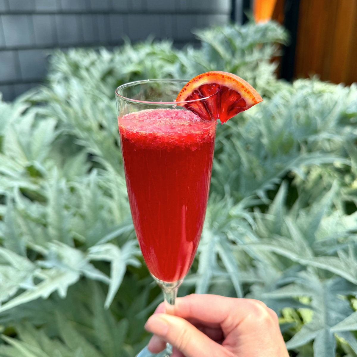 Grand Sicilian Mimosa (AKA Blood Orange Mimosa) - Secret Kitchen