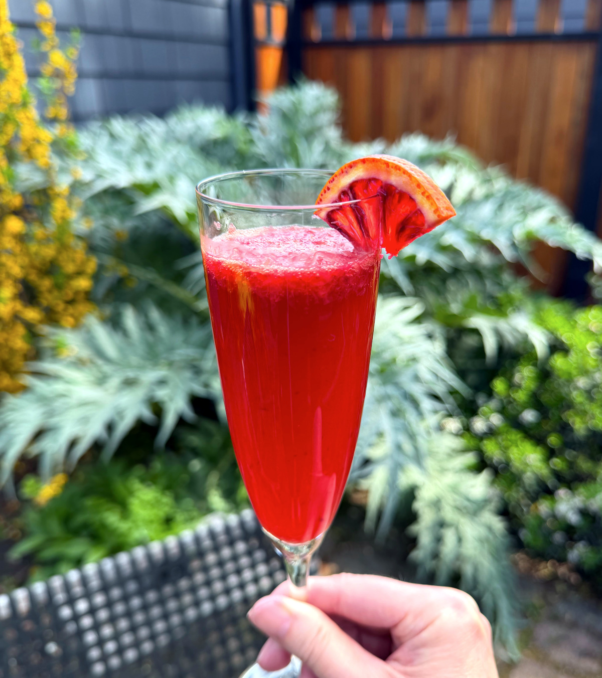Grande Sicilian Mimosa served in a champagne flute garnished with a thin wedge of blood orange.