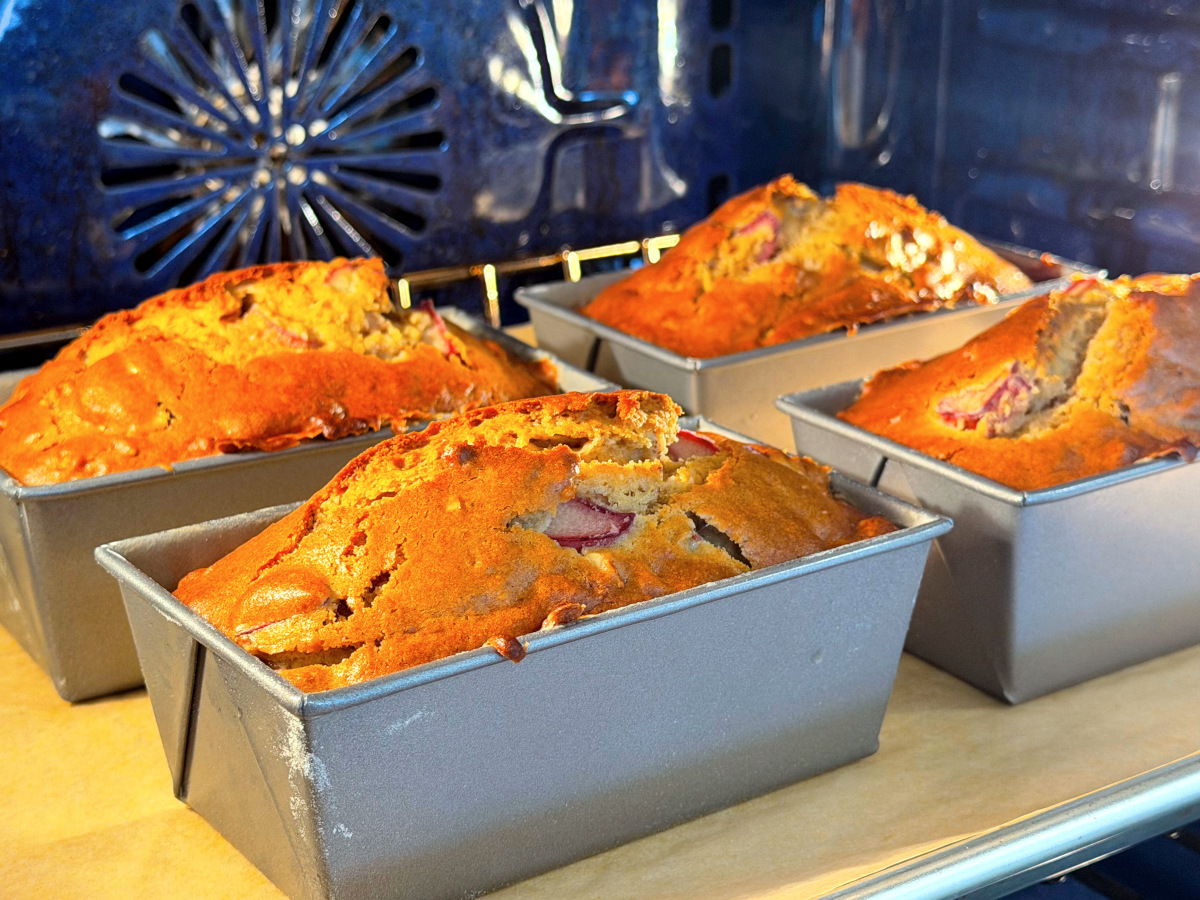 Four miniature loaves of rhubarb bread baking in a blue oven.