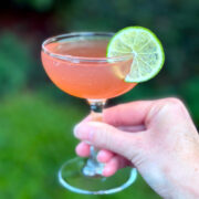 Pink daiquiri in a coupe glass, garnished with a lime wheel, being held outdoors in front of some greenery.