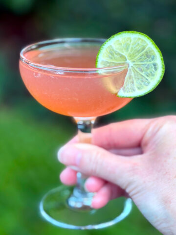 Pink daiquiri in a coupe glass, garnished with a lime wheel, being held outdoors in front of some greenery.